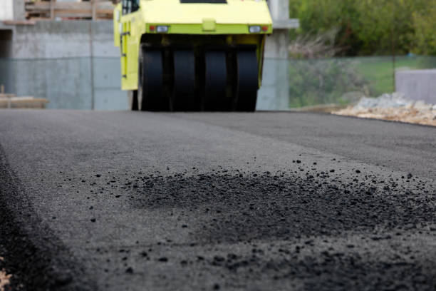 Best Custom Driveway Pavers  in Forest Lake, MN
