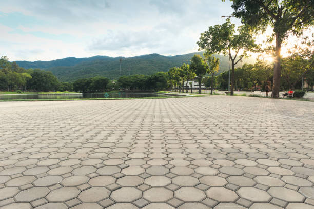 Best Best Driveway Pavers  in Forest Lake, MN