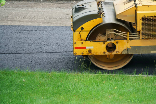 Best Custom Driveway Pavers  in Forest Lake, MN