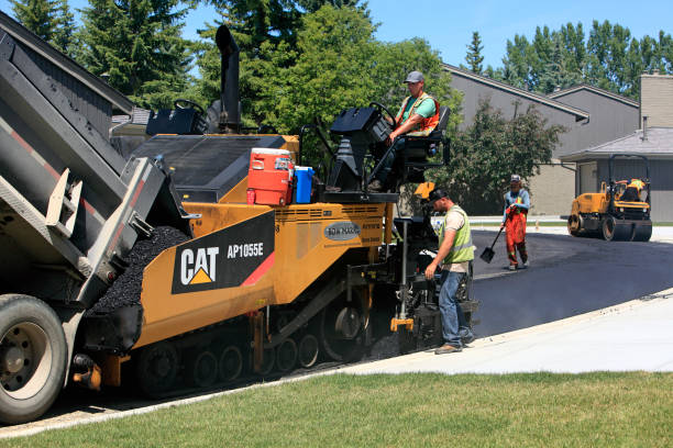 Best Residential Driveway Paver Services  in Forest Lake, MN