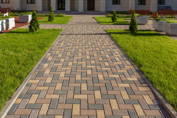Reasons to Select Us for Your Driveway Paving Requirements in Forest Lake, MN